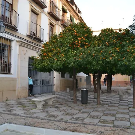 Apartamento Mezquita *