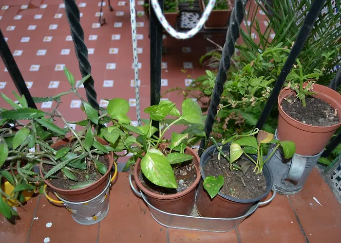 Apartamento Mezquita