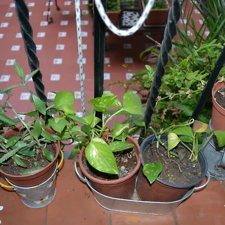 Apartamento Mezquita