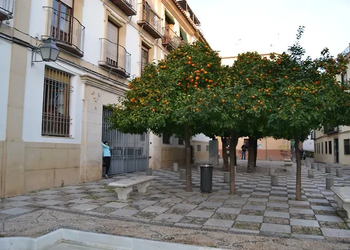 Apartamento Mezquita *